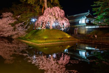 Kiraz çiçekleri ve Hirosaki Parkı