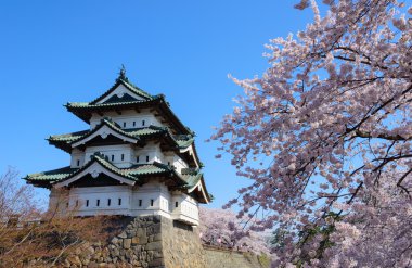 Kiraz çiçekleri ve Hirosaki Kalesi