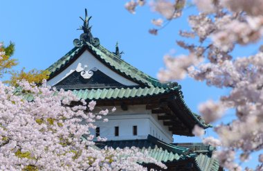 Kiraz çiçekleri ve Hirosaki Kalesi