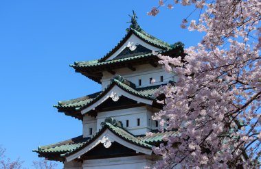 Kiraz çiçekleri ve Hirosaki Kalesi