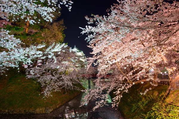 Fiori di ciliegio e Parco Hirosaki — Foto Stock