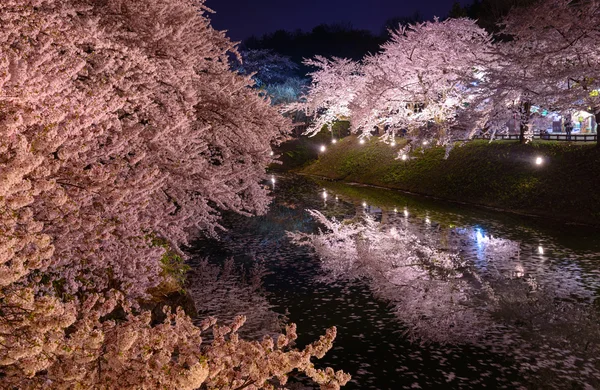 Цветение сакуры и парк Хиросаки — стоковое фото