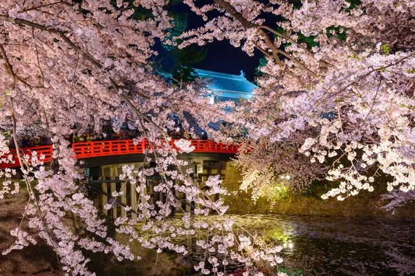 Cherry blossoms and Hirosaki Park — Stock Photo, Image