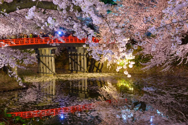 Cherry blossoms and Hirosaki Park — Stock Photo, Image