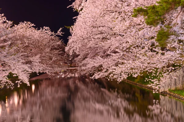 Fiori di ciliegio e Parco Hirosaki — Foto Stock