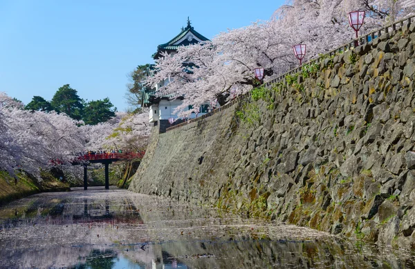 Kiraz çiçekleri ve Hirosaki Kalesi — Stok fotoğraf