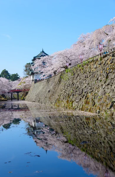 Flores de cerejeira e Castelo de Hirosaki — Fotografia de Stock