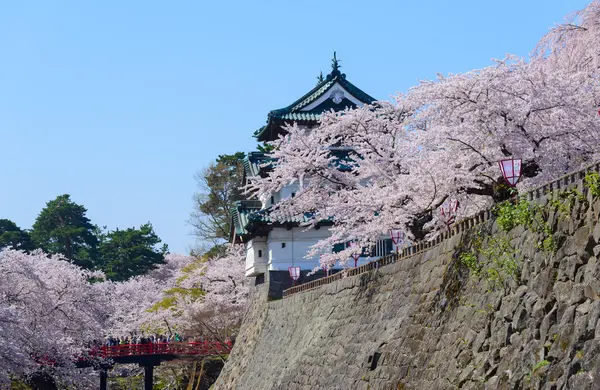 Cseresznye virágok és Hirosaki Castle — Stock Fotó