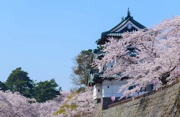 Цветение сакуры и замок Хиросаки — стоковое фото