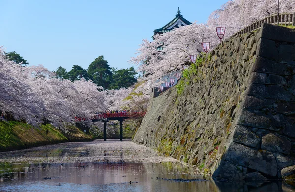 Cherry blossoms and Hirosaki Castle — Stock Photo, Image