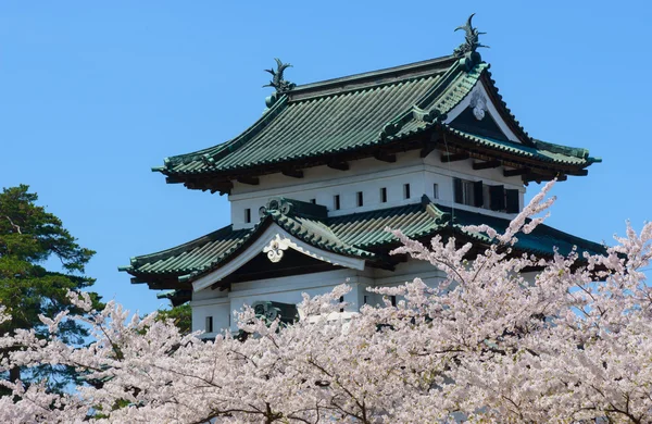 Kiraz çiçekleri ve Hirosaki Kalesi — Stok fotoğraf
