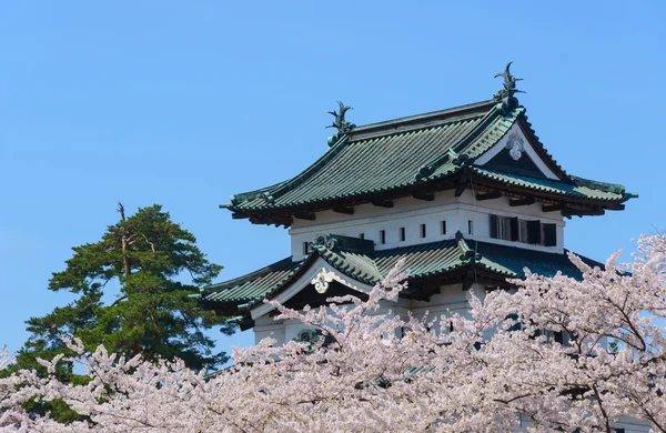 Fleurs de cerisier et château d'Hirosaki — Photo