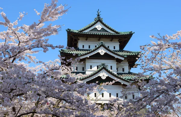 樱花和弘前城堡 — 图库照片