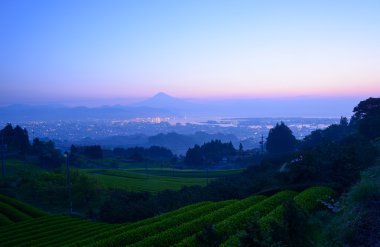 Mt.Fuji ve çay plantasyon şafak
