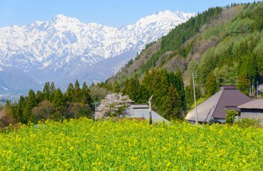 Tarihi köy Hakuba, Nagano, Japonya