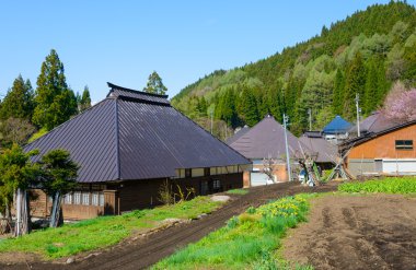 Tarihi köy Hakuba, Nagano, Japonya