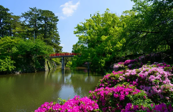 Parque Okazaki com verde macio em Aichi, Japão — Fotografia de Stock