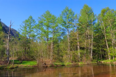 Kamikochi: Nagano, Japan