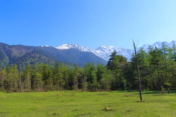 Kamikochi στο Ναγκάνο, Ιαπωνία — Φωτογραφία Αρχείου