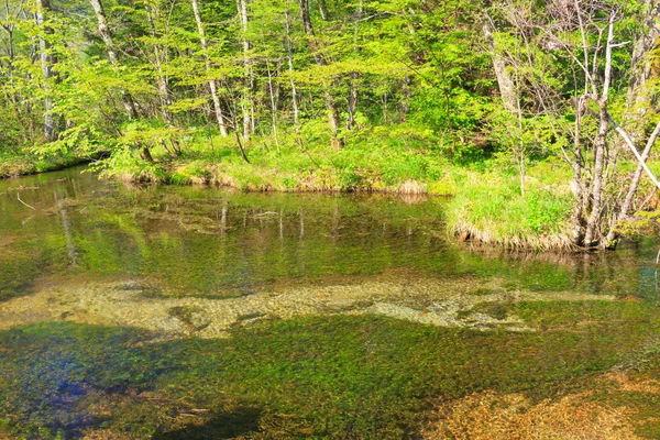 Kamikochi στο Ναγκάνο, Ιαπωνία — Φωτογραφία Αρχείου