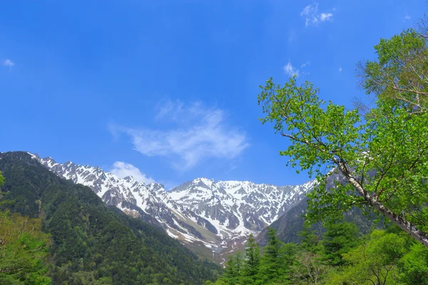 Kamikochi en Nagano, Japón —  Fotos de Stock