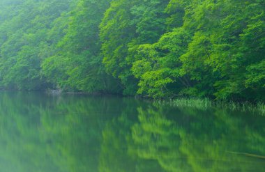 Tsutanuma gölet: Aomori, Japan