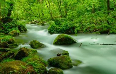 Oirase gorge: Aomori, Japan