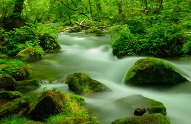 Oirase gorge: Aomori, Japan
