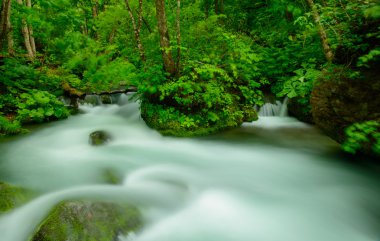Oirase gorge: Aomori, Japan