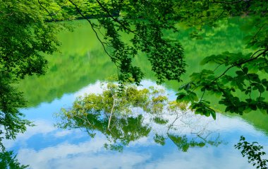 Shirakami-Sanchi: Aomori, Japan