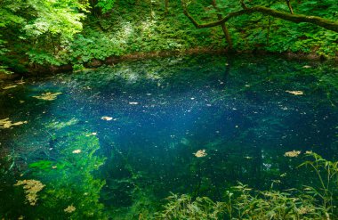 Shirakami-Sanchi: Aomori, Japan