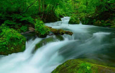 Oirase gorge: Aomori, Japan