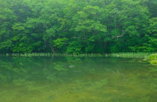 Tanques em Aomori, Japão — Fotografia de Stock