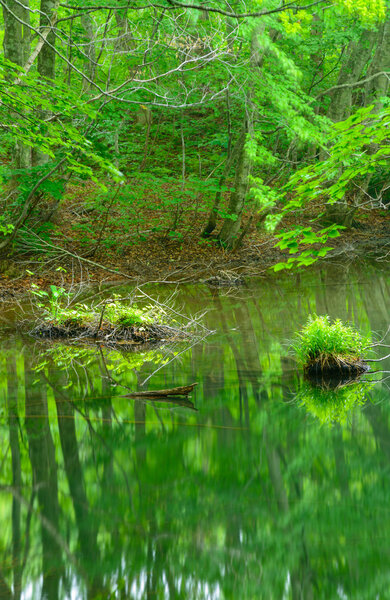 Tsutanuma Pond in Aomori, Japan