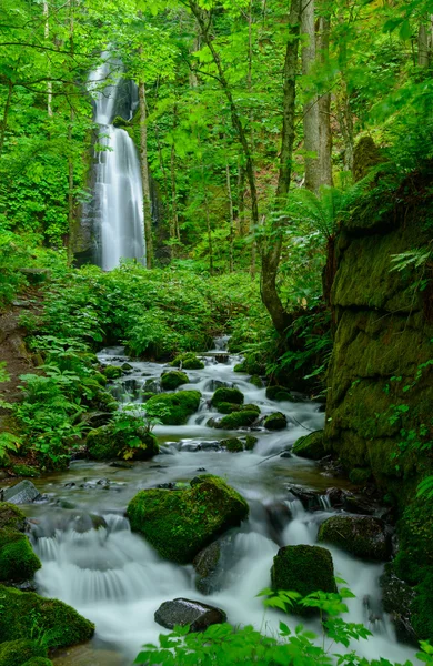 Oirase kloof in Aomori, Japan — Stockfoto