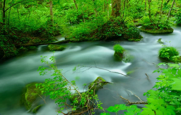 Oirase kloof in Aomori, Japan — Stockfoto