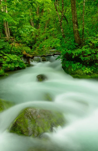 Oirase gorge i Aomori, Japan — Stockfoto