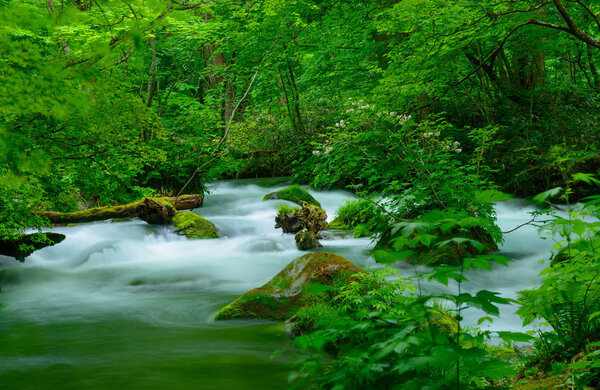 Ущелье Ойрасэ в Аомори, Япония
