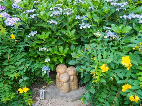 Ortensie e Ryoen Jizo — Foto Stock