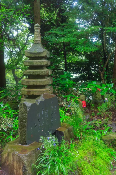 Amidadera Tapınağı ve ortanca — Stok fotoğraf