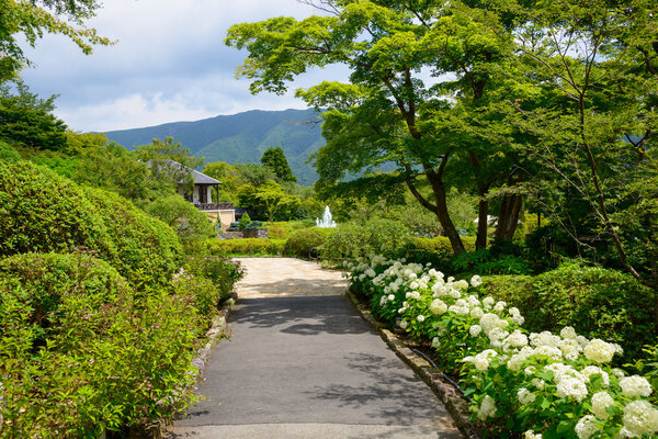Парк Гора в Хаконе, Канагава, Япония
