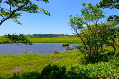 Kirigamine Nagano, Japonya