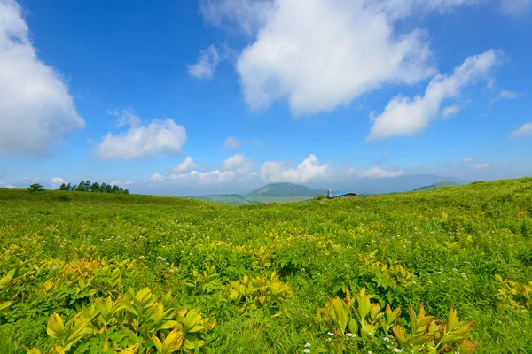 Kirigamine in Nagano, Japan — Stock Photo, Image