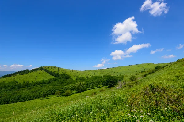 Kirigamina a Nagano, Giappone — Foto Stock