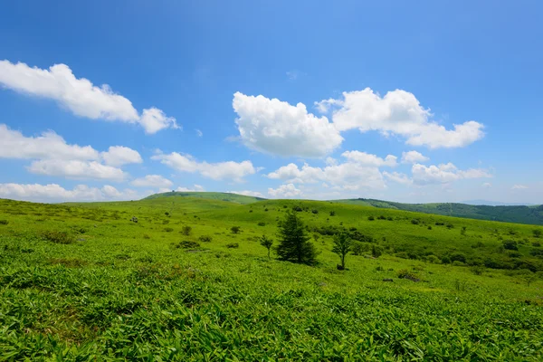 Kirigamine in Nagano, Japan — Stockfoto