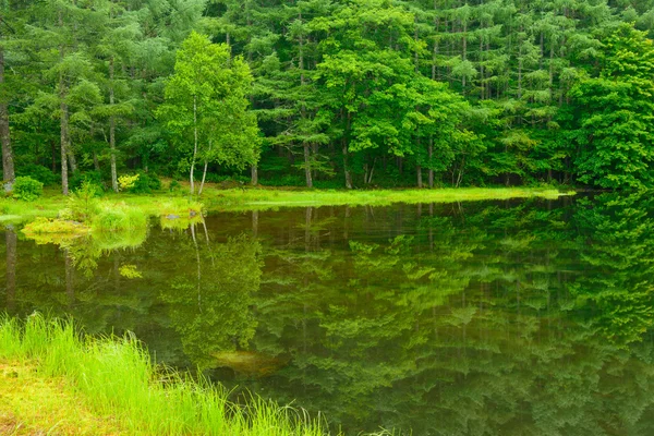 Mishaka-Teich — Stockfoto