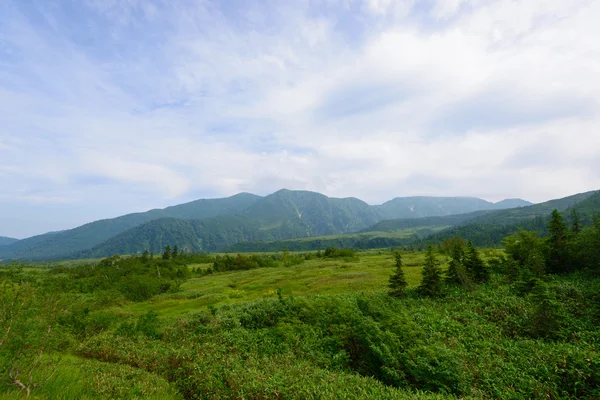 日本北部阿尔卑斯山的风景 — 图库照片