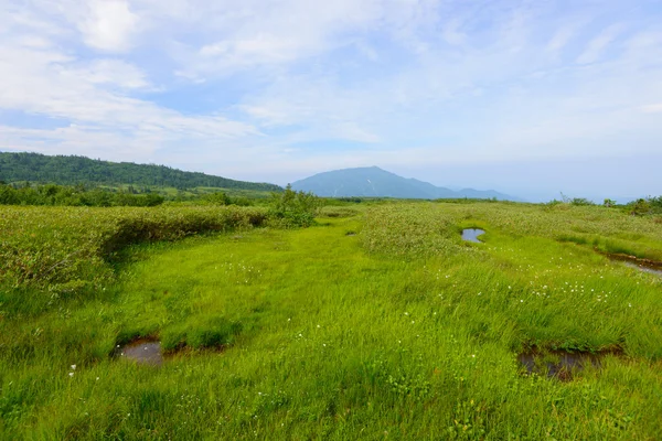 Landschap van noordelijk Japan Alpen — Stockfoto