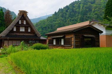 Gassho-zukuri village clipart