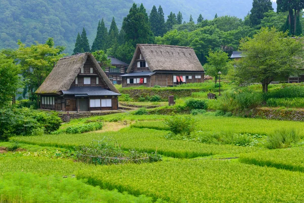 Gassho-zukuri dorp — Stockfoto